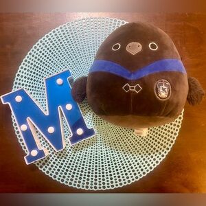 Squishmallows 8" Harry Potter Ravenclaw Raven in Robe; Pre-owned
